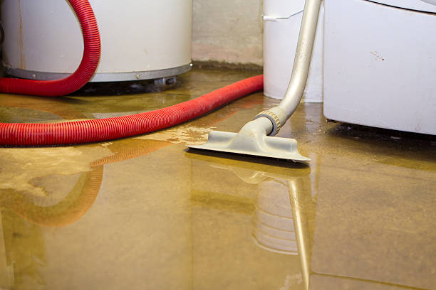 Best Water damage restoration process  in USA